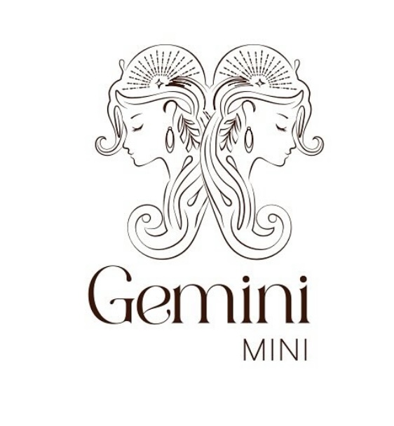 Gemini Mini - Opening Soon