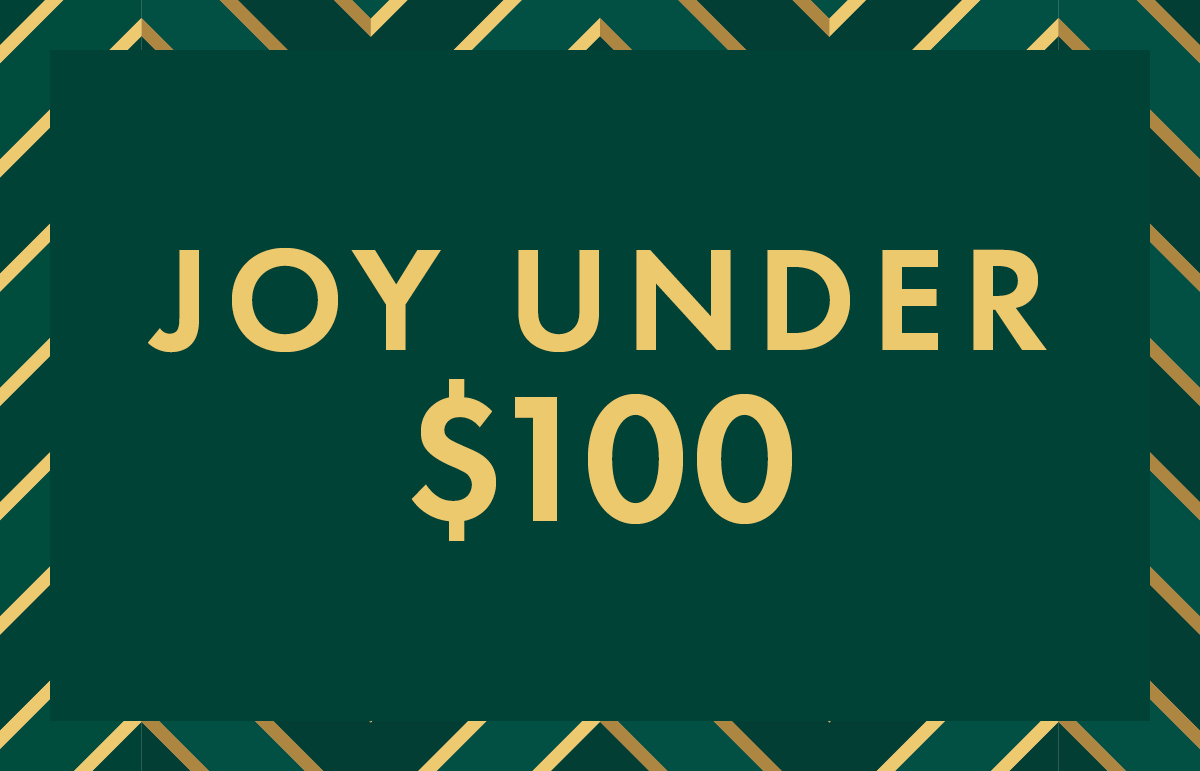 Christmas gift ideas under $100